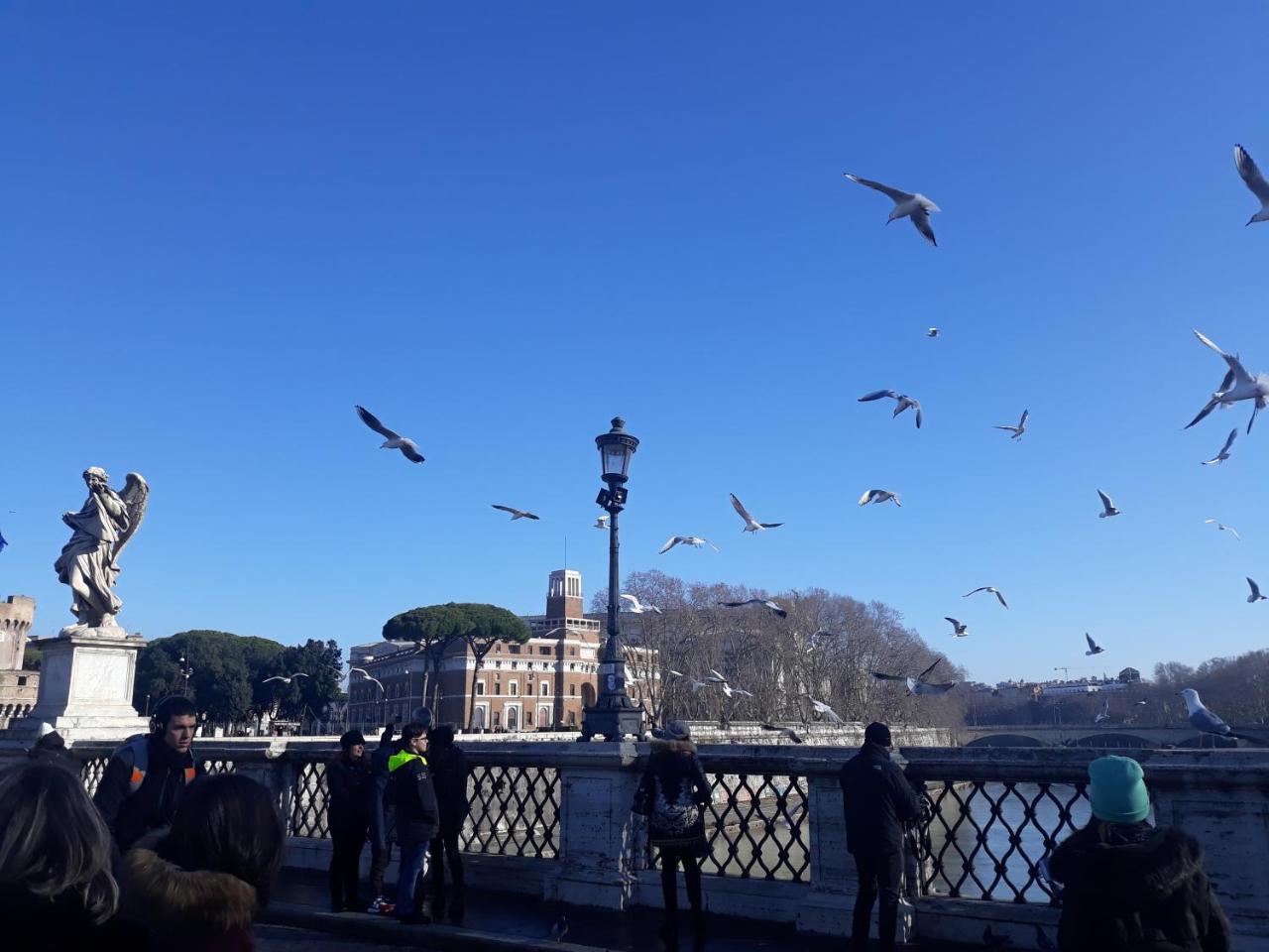 Lungotevere Collection Suite ローマ エクステリア 写真