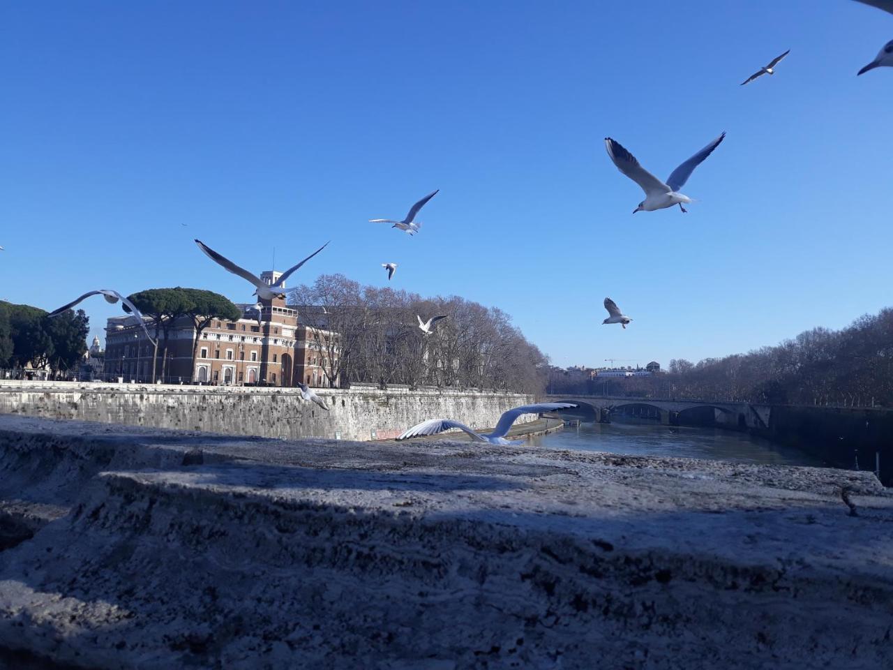 Lungotevere Collection Suite ローマ エクステリア 写真